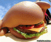 733 bikini-burger 1